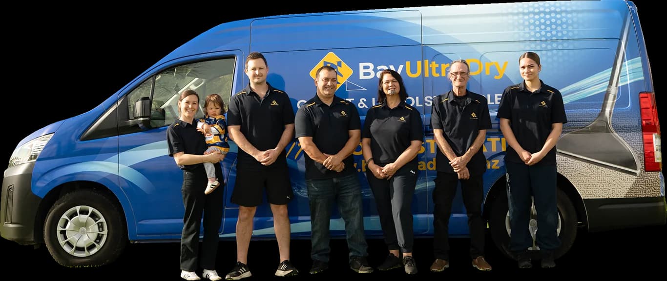 Professional Cleaner Team