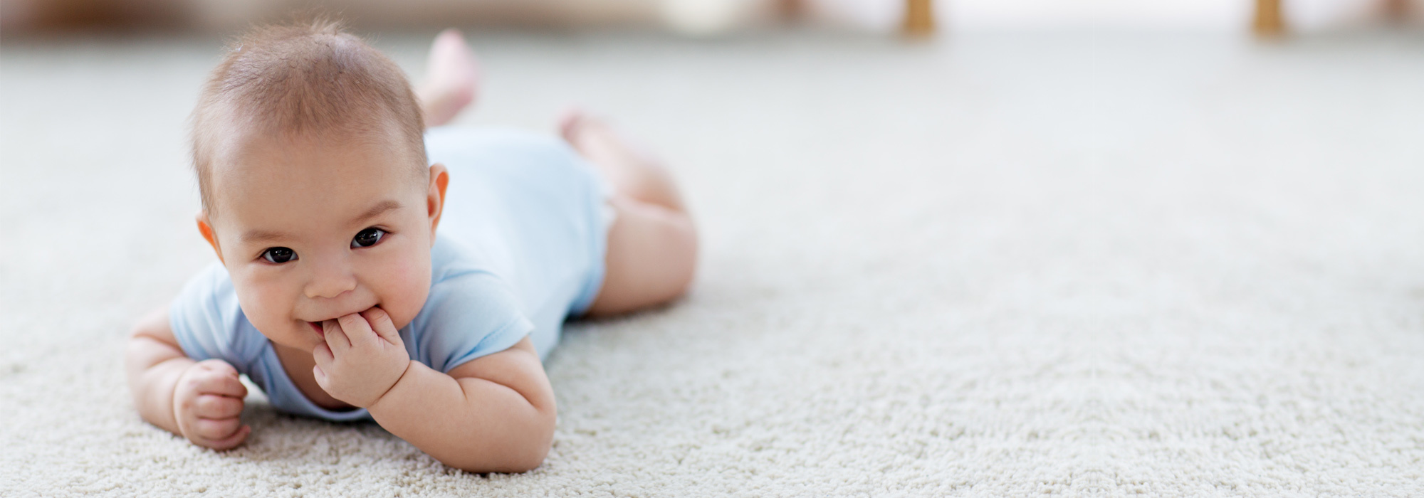 Commercial & Residential Carpet Cleaners Tauranga, Mt Maunganui