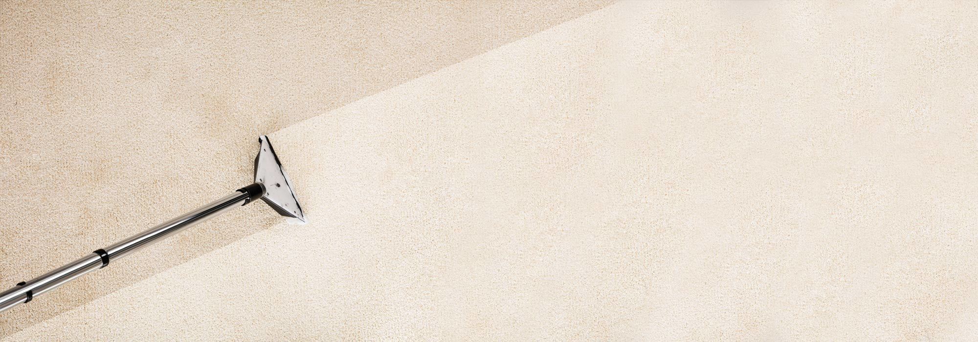 Carpet Cleaning Tauranga, Mt Maunganui, Papamoa, Bay of Plenty