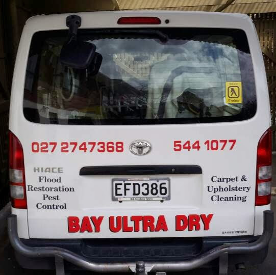 Professional Carpet Cleaners Tauranga Carpet Cleaning Company